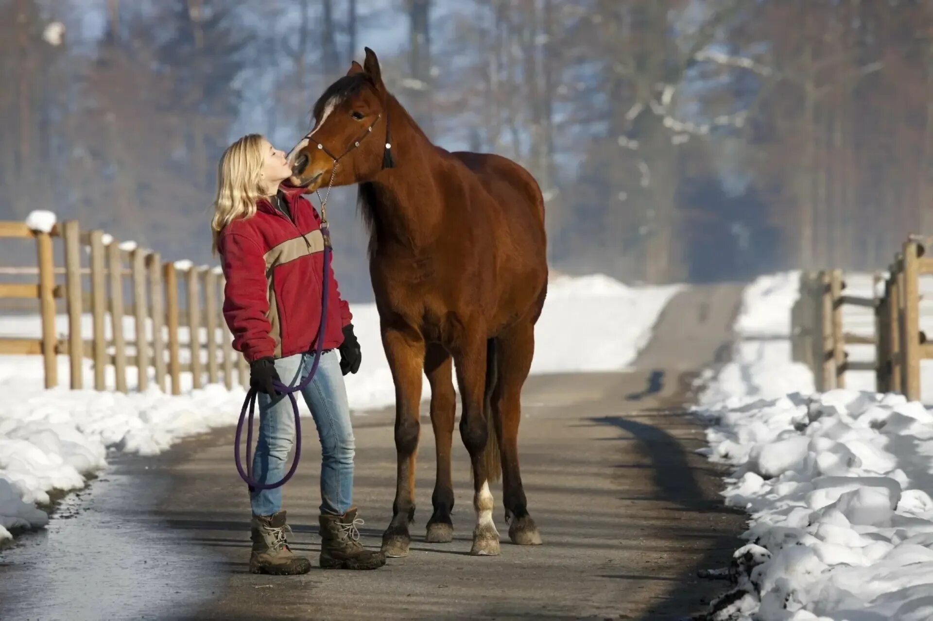 Лошади гуляют. Зимняя прогулка на лошадях. Зимняя фотосессия с лошадью. Лошади зимой. Катание на лошадях зимой.