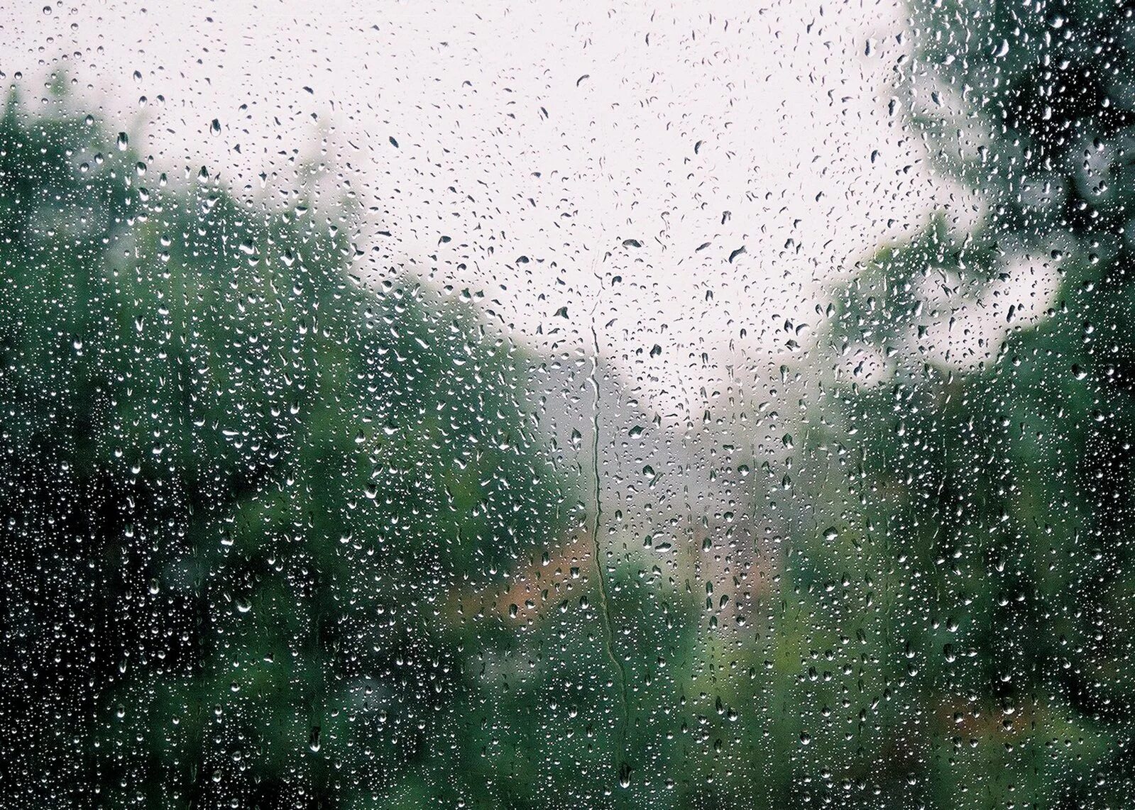 На пороге дождь. Дождь. Дождь в окне. Дождь за окном. Дождливый летний день.