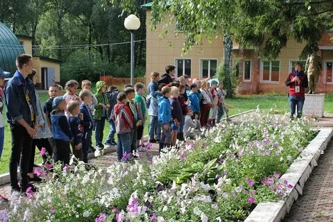 Лагерь ромашка подольск