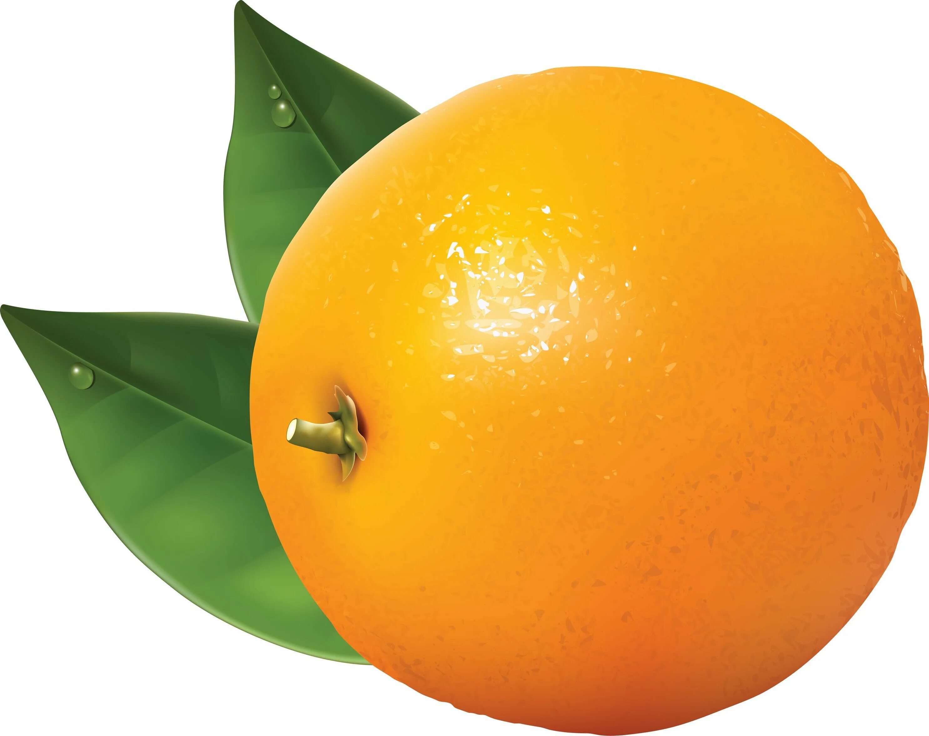 Картинки апельсин. Апельсин. Апельсин для детей. Апельсин фрукт. Апельсин на прозрачном фоне.