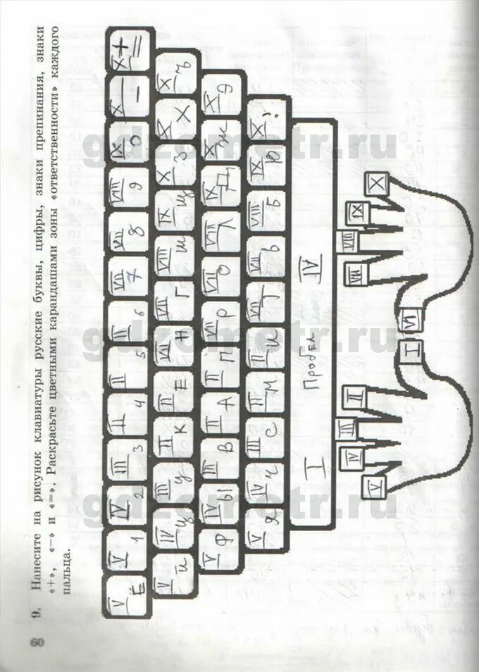 Информатика 5 рт. Рабочая тетрадь Информатика 5 класс босова клавиатура. Клавиатура 5 класс Информатика босова. Зоны ответственности пальцев на клавиатуре. Раскрасить клавиатуру Информатика 5 класс.