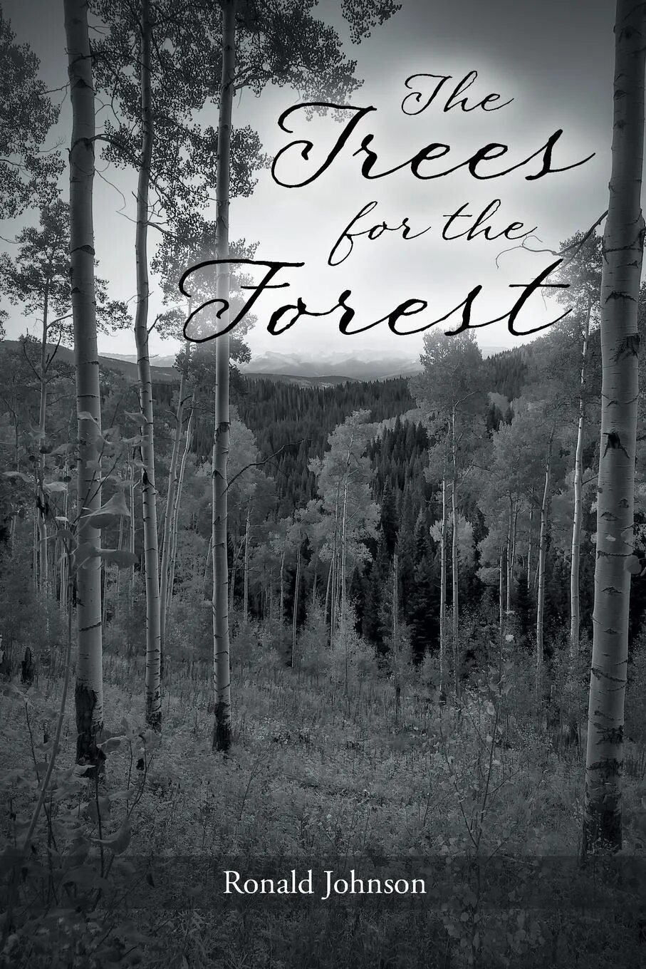 Книга в лесу. Эстетика книг и леса. Серый лес книга. Старая книга в лесу.