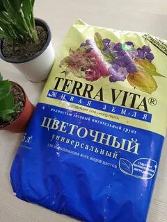 Грунт для декабриста
