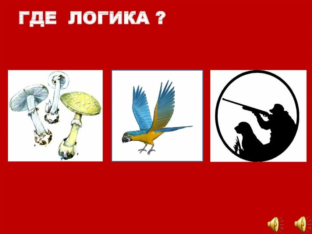 Картинки найди общее название. Пословицы в картинках где логика. где логика фразеологизмы. где логика картинки. фразеологизмы из где логика.