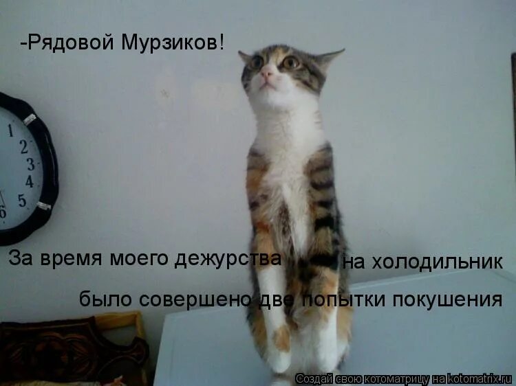 Спокойной ночи удачной смены. Хорошей ночи на работе. Приколы про дежурство на работе. После дежурства. Дежурство на работе.