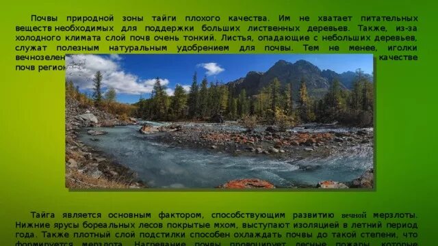 Природная зона Тайга рельеф. Почвы зоны тайги. Почвы тайги в России. Природная зона Тайга почвы. Рельеф природной зоны тайги