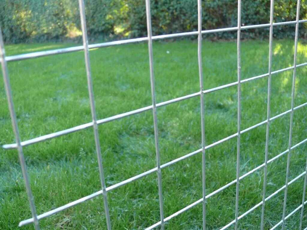 Сетка 6 30. Сетка сварная 50*50*2000. welded wire mesh panels. сетка оцинкованная 50x50 квадратная. панель-сетка 2000*600-5х4 мм, цинк хроматированный.