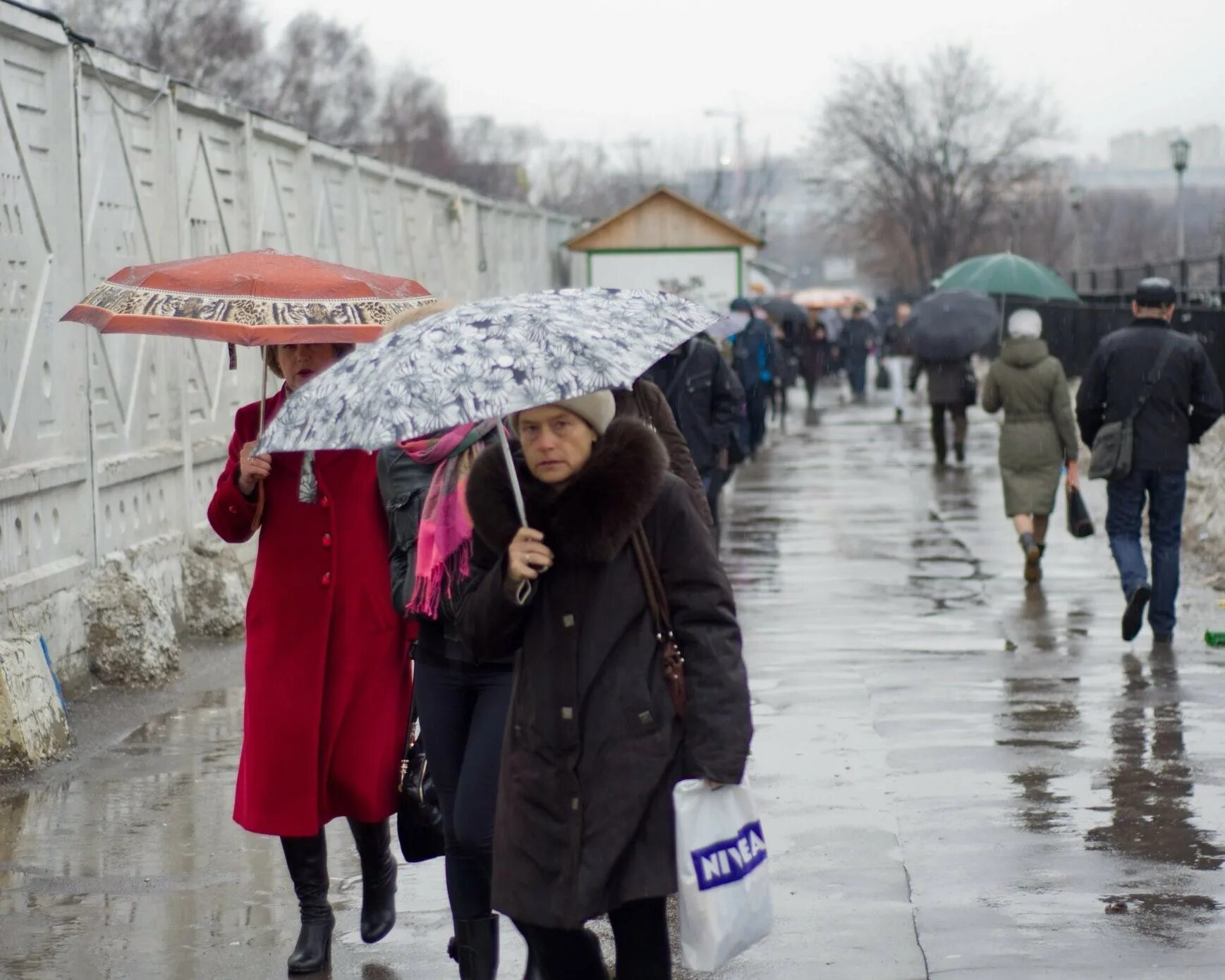 Когда в петербурге потеплеет