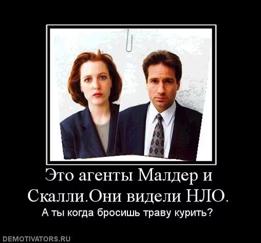 Секретные материалы мемы. Малдер и Скалли истина где то рядом. Малдер и Скалли приколы. Агент Малдер истина где-то рядом.