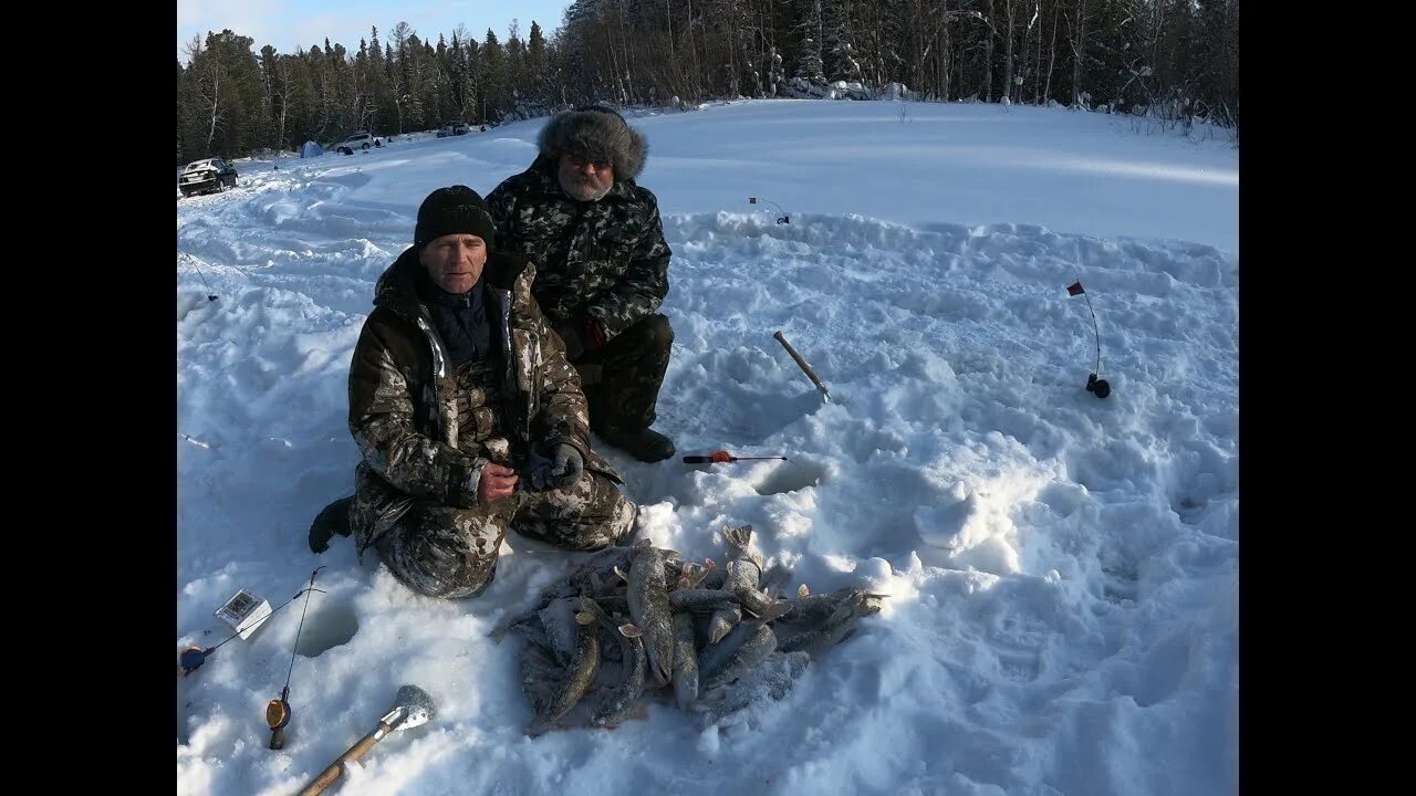 Озеры зимняя рыбалка. Зимняя рыбалка на озере. Озёры зимой понельки. Зимняя рыбалка улов. Озеры зимняя рыбалка.