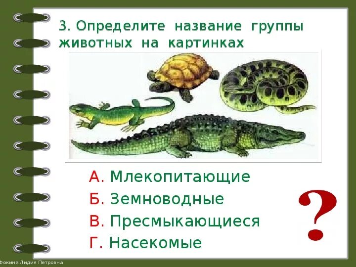 Проверочная работа по теме какие бывают животные. Какие бывают животные задания 2 класс. задания по теме группы животных 2 класс. проверочная работа по теме земноводные. задания по теме какие бывают животные 2 класс работа в группах.