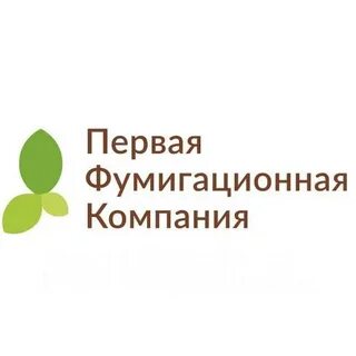 Компания первый сайт