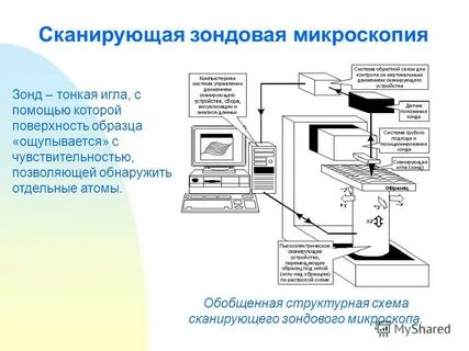Сканирующая зондовая