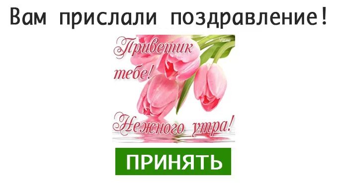 Поздравляем вы приняты. Поздравления принимаются на карту. Принимаю поздравления на карту. Принимаю поздравления на карту картинка. Поздравления принимаю принимаю на карту.