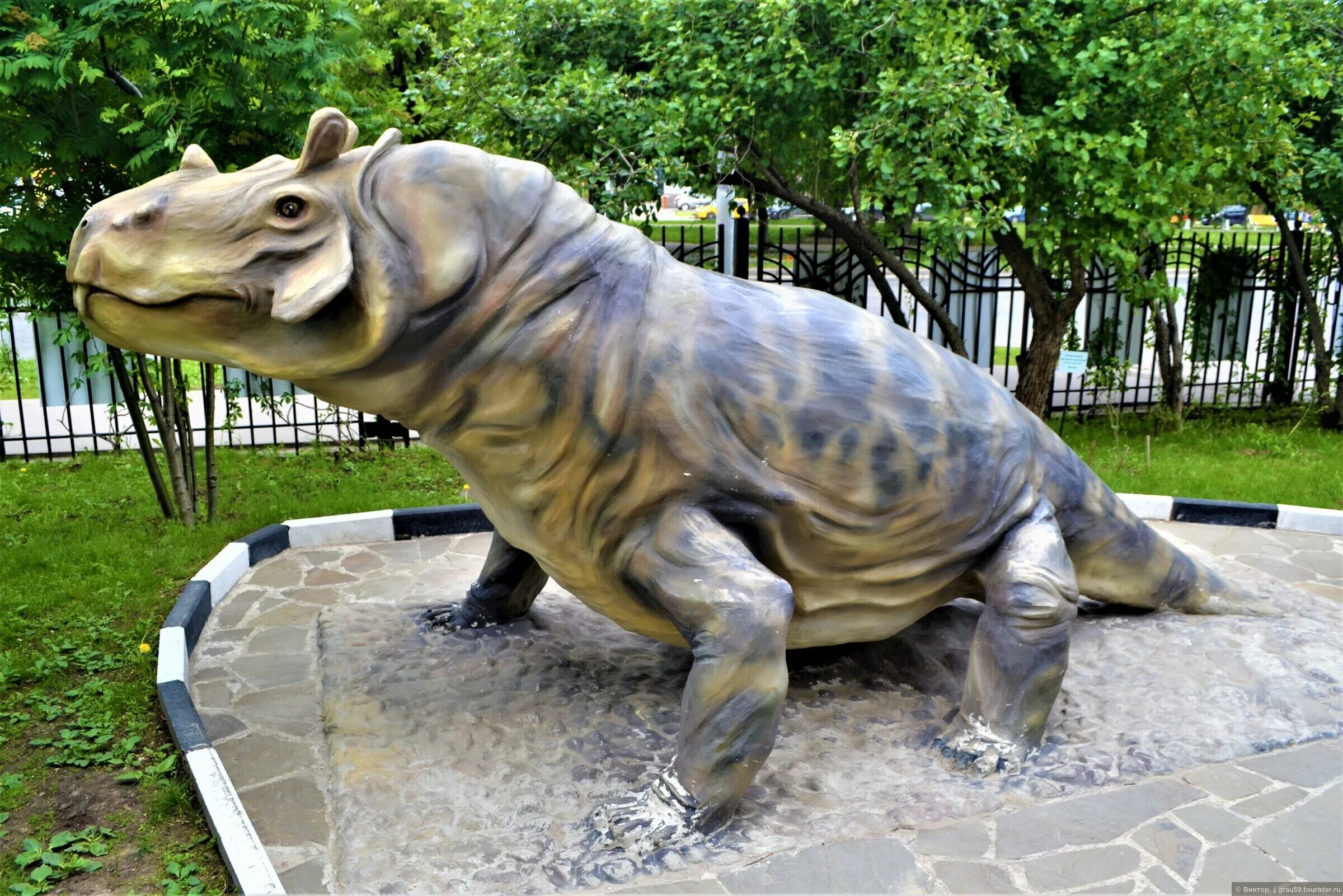 государственный дарвиновский музей москва. какой парк на территории дарвиновского музея. дарвиновский музей мамонт. музей дарвина палеопарк. какой парк на территории дарвиновского музея.