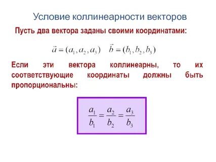 Отношения координат