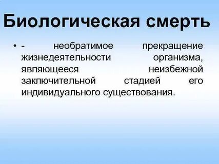 В основе жизнедеятельности всех организмов лежат