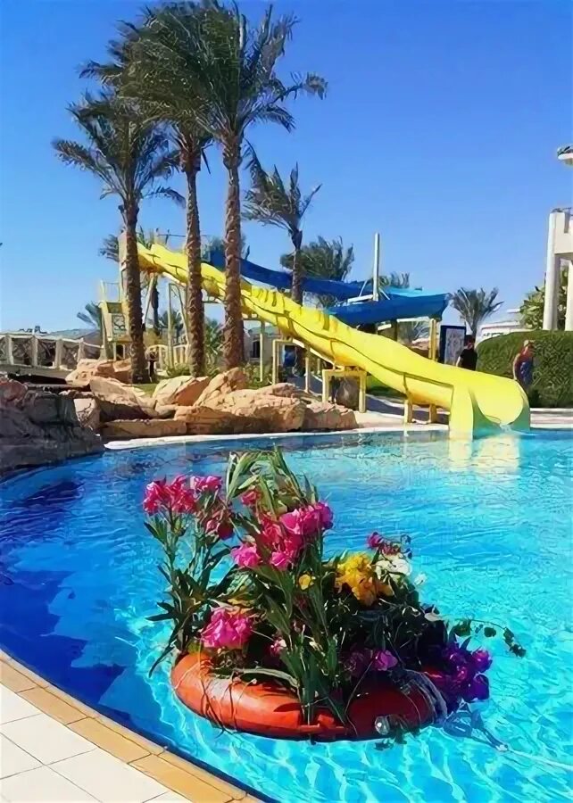 Отель в египте island view resort. Исланд вью резорт 5 шарм-эль-шейх. island view resort 5 египет шарм-эль-шейх. отель island view resort 5*.