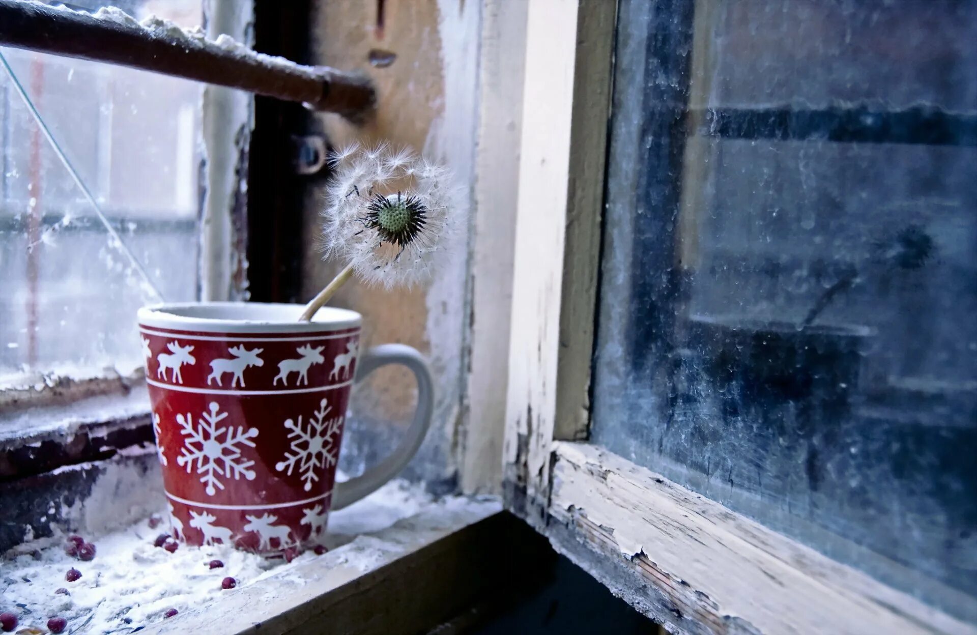 Первый снег утром картинки. Снег за окном. Чашка чая на подоконнике. Морозное утро в окне. Зима за окном.