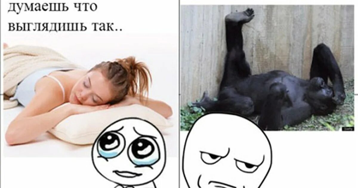 прикольные картинки мемы. мемы до слез. ржачные мемы до слёз. мемы с надписями самые угарные. смешные мемы.