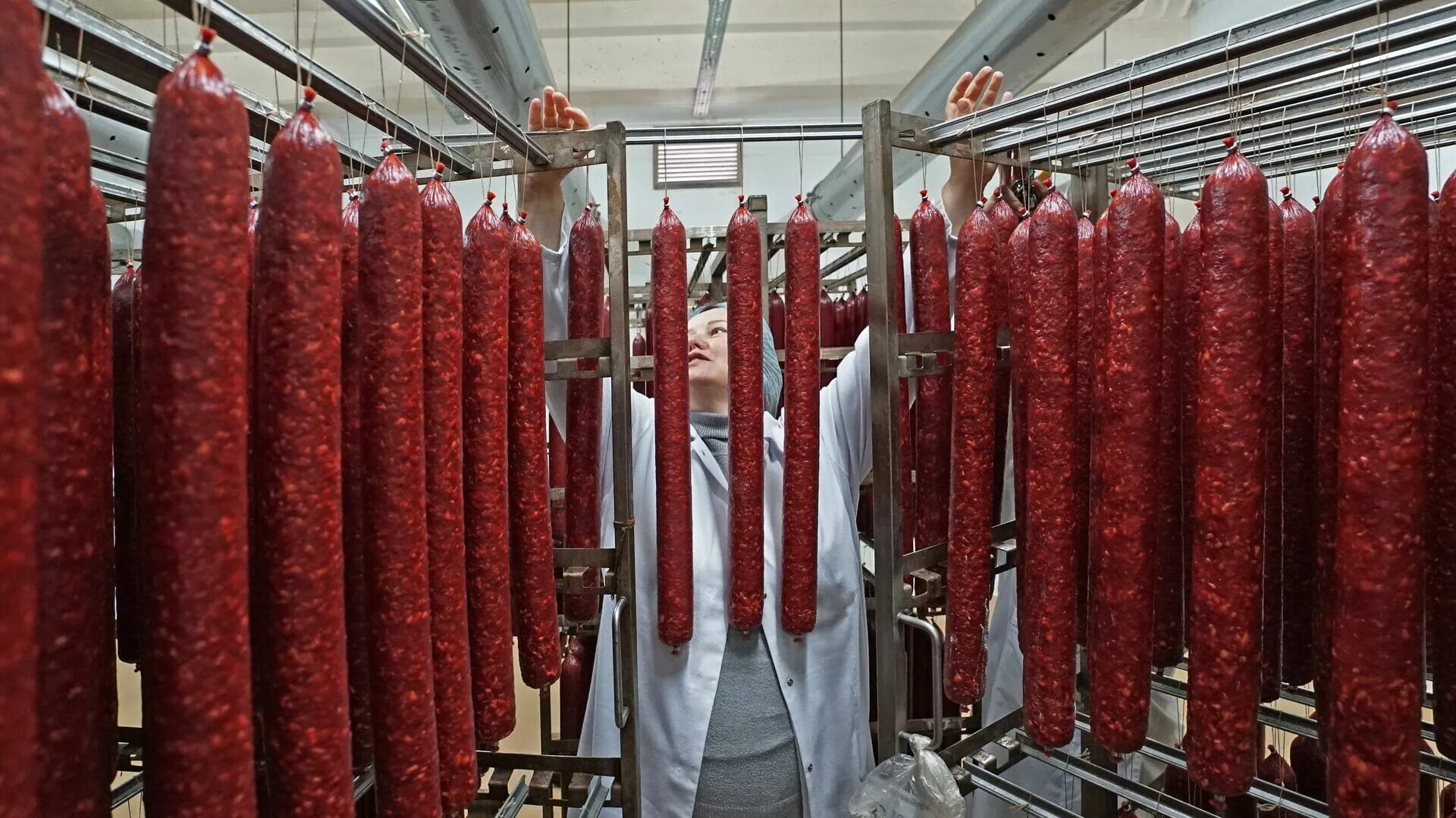 Рейтинг сырокопченых колбас. Колбаса могилевский мясокомбинат. сырокопченая колбаса цех. сырокопченая колбаса производители. сушка сырокопченых колбас.