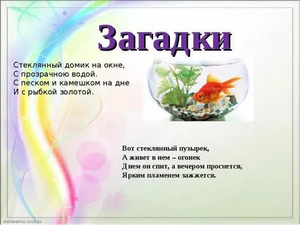 Занятие в мире стекла