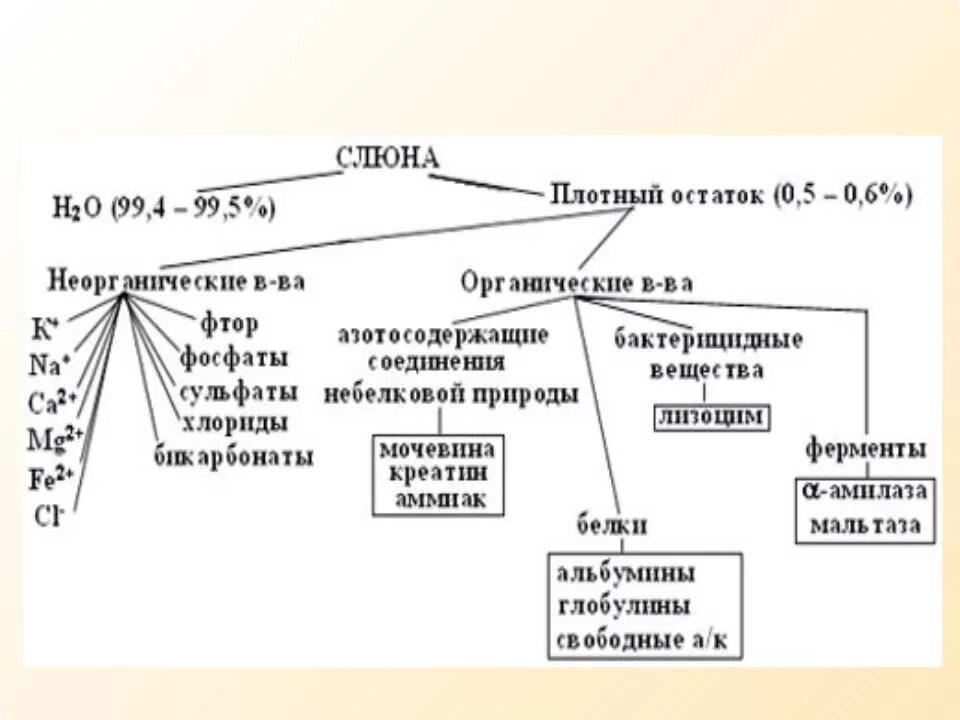 Чистая слюна. Состав и свойства слюны таблица. Состав слюны неорганические вещества. Таблица состав ротовой жидкости. Состав слюны.