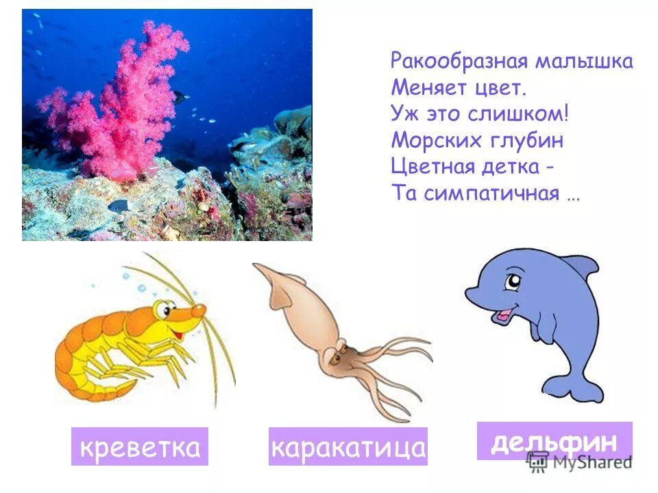 стих про море для детей. физминутка рыбки. загадки рыбы море. загадки рыбы море. загадки про морских обитателей.