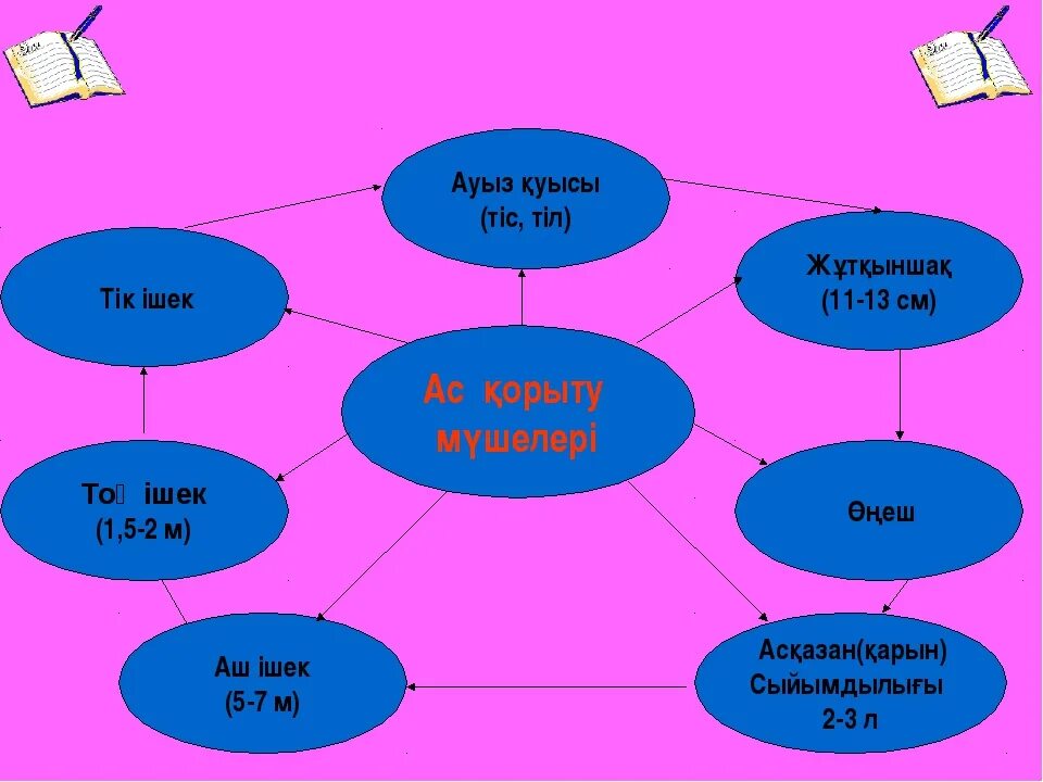 Адамның бір бала деген. Агаше а. "в одно касание". Кластер для презентации. Идеи для кластера. Кластер это в информатике.