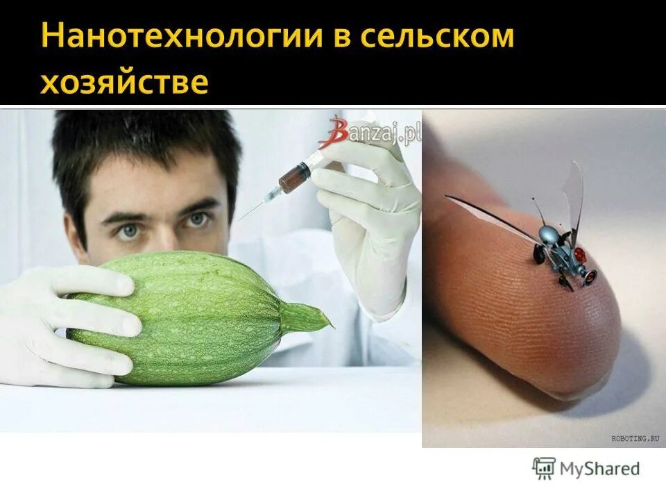 Нанотехнологии презентация. Нанотехнологии в хозяйстве. Нанотехнологии в хозяйстве. Нанотехнологии в хозяйстве. Нанотехнологии в сельском хозяйстве.