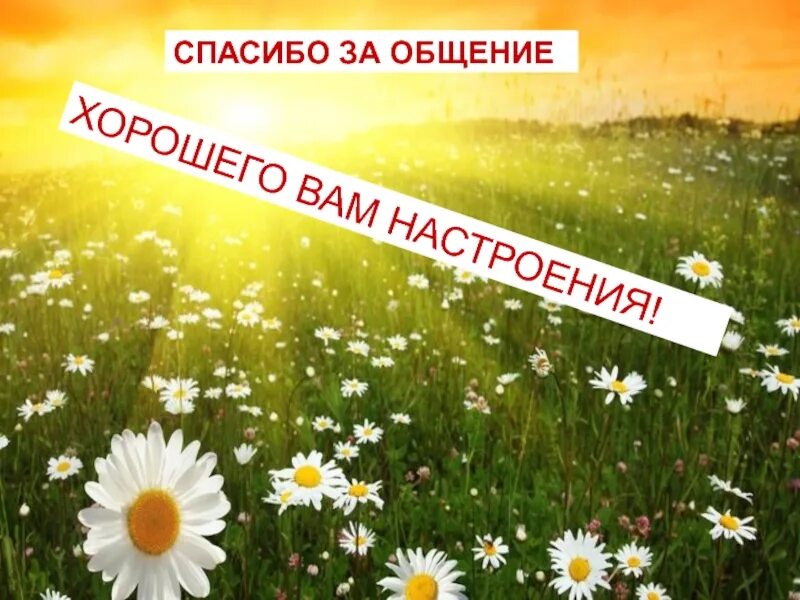 Спасибо за внимание друзья. Спасибо за общение. Спасибо за приятное общение. Открытки спасибо за приятное общение. Открытка благодарю за общение.