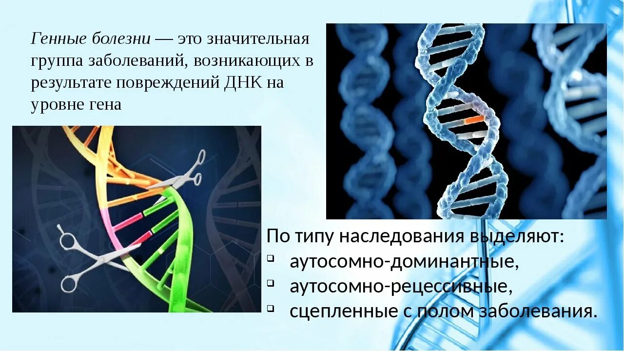 Образование новой днк. ДНК. Цепочка ДНК человека. Генные наследственные заболевания.