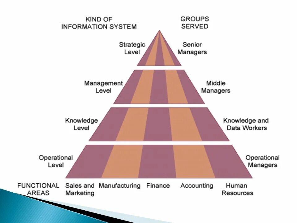 Kind of manager. Types of managers. levels of management. ois уровни. types of shares.