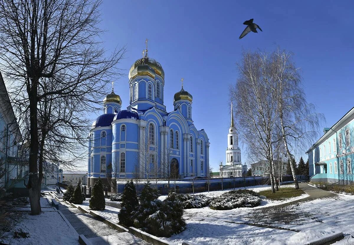 Рождество Богородицкий монастырь Задонск. Задонский мужской монастырь зимний. Задонский рождество богородицкий монастырь сайт