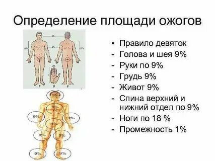 Обжигать правило