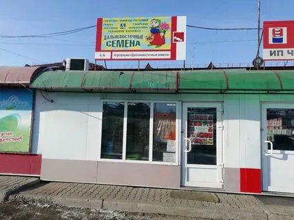 Семена хабаровск