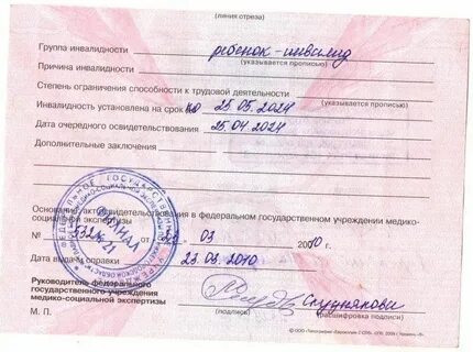 Трудовая деятельность вторая степень второй группы