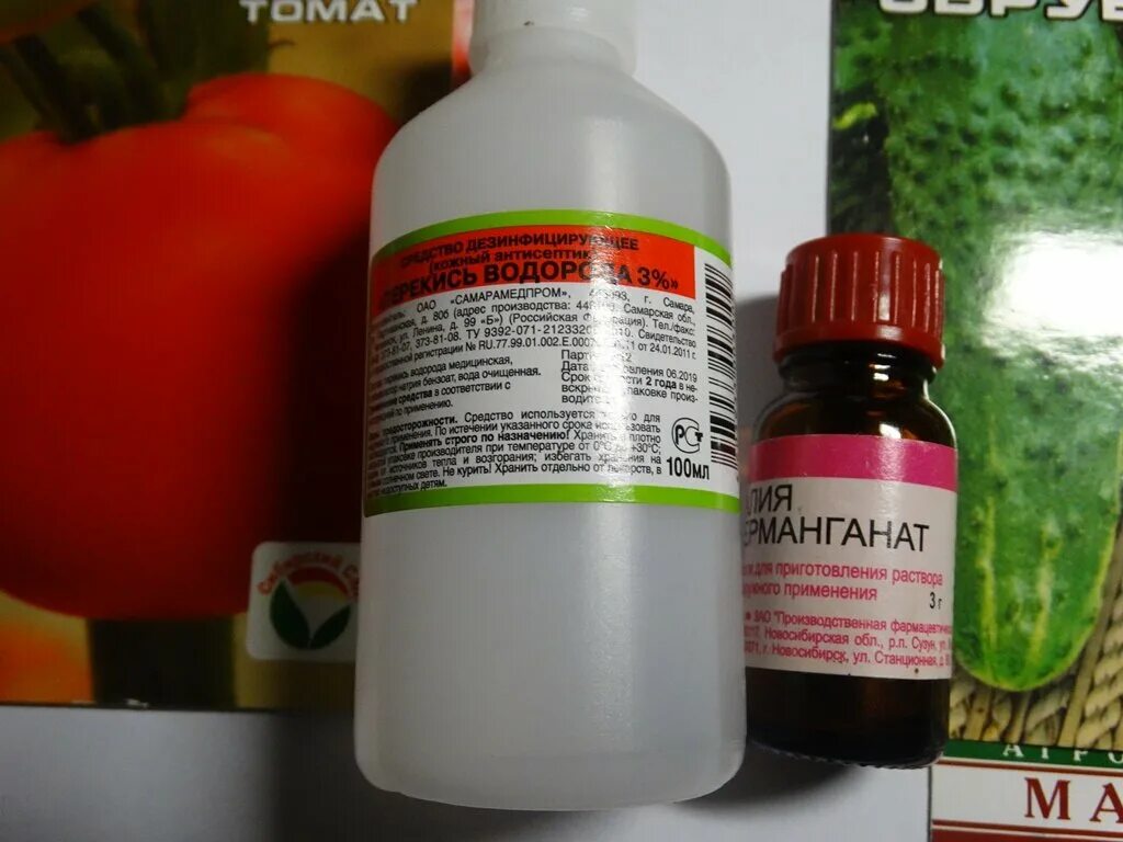 Замачивание семян томатов в хлоргексидине. Препараты для обработки семян перед посевом. Марганцовка и перекись. Марганец и перекись водорода. Обработка семян зерна перед посевом.
