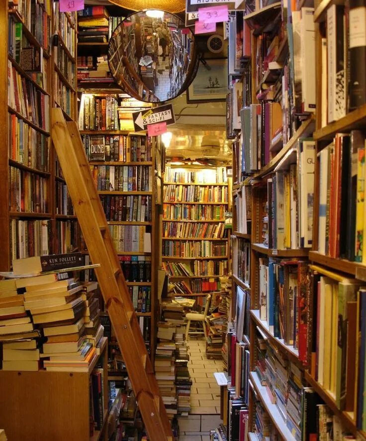Books in my city. Bookshop картинки. Современная библиотека. Множество детских книг букинист. Book shop design.