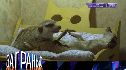 Передача за гранью вчерашний выпуск