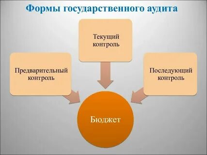 Государственный аудит осуществляют
