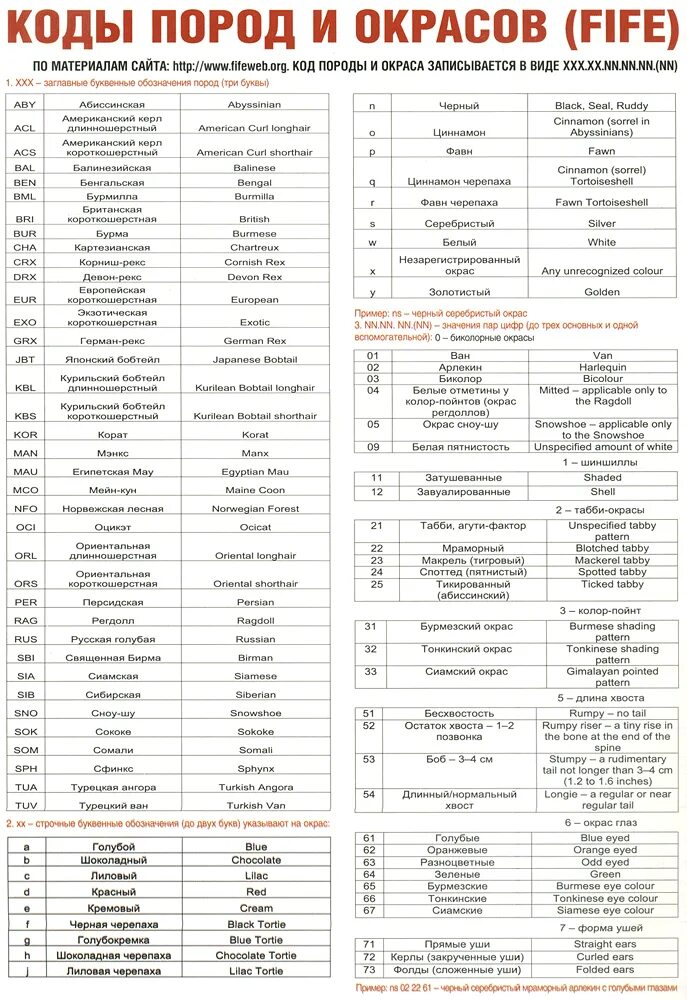 Код окраса. Таблица генетики окрасов шотландских кошек. Коды окраса шотландских кошек. Окрасы шотландских кошек таблица. Генетика окрасов кошек.