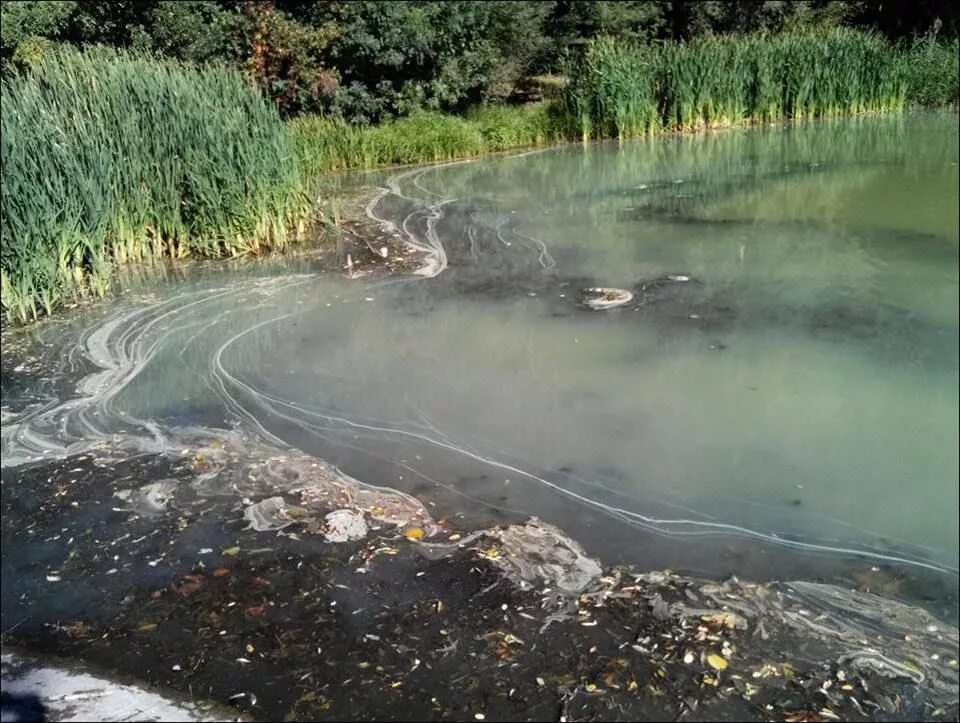 Загрязнение воды. Грязный водоем. Загрязнение водоемов. Загрязненная вода.