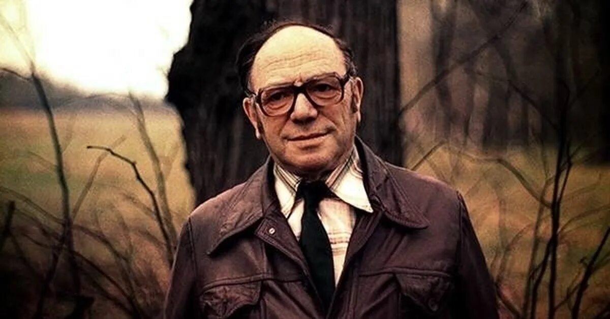 Премия канторовича. Канторович леонид витальевич. канторович леонид витальевич экономист. леонид витальевич канторович (1912-1986). леонид канторович нобелевская премия.