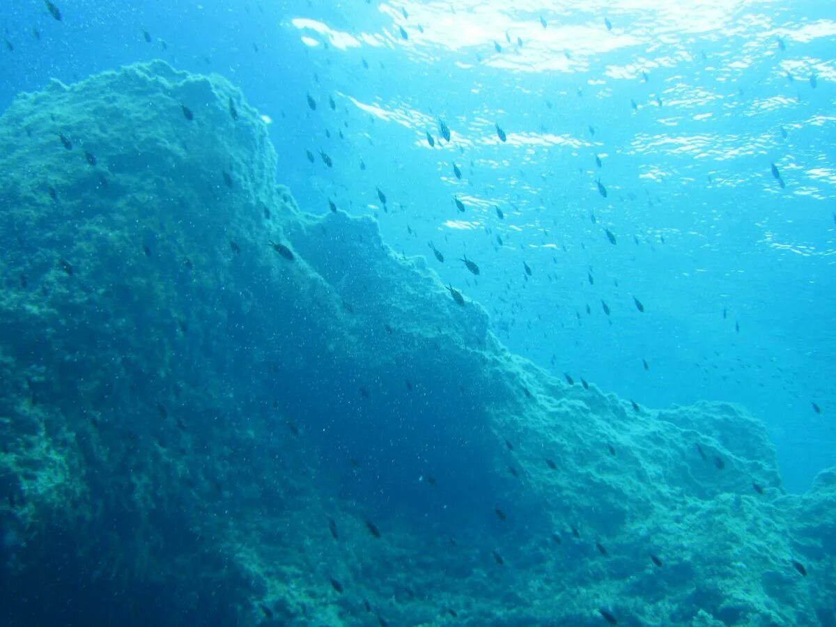 Глубина Атлантического океана. Дно океана. Море глубина. Морские глубины.