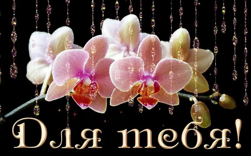 Мерцающие картинки с именами
