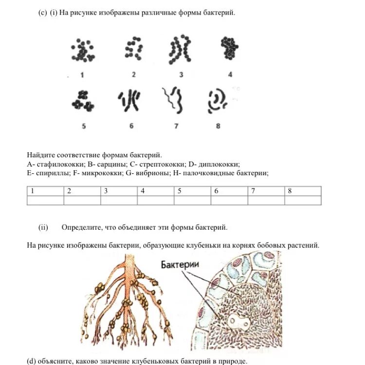 Тест простейшие 7 класс ответы. Упражнения по биологии 7 класс. Биология 7 класс задания. Карточки задания по биологии 7 класс. Задания по Олимпиаде по биологии 7 класс.