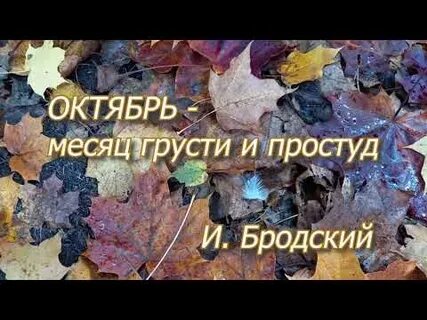 Октябрь месяц грусти и простуд