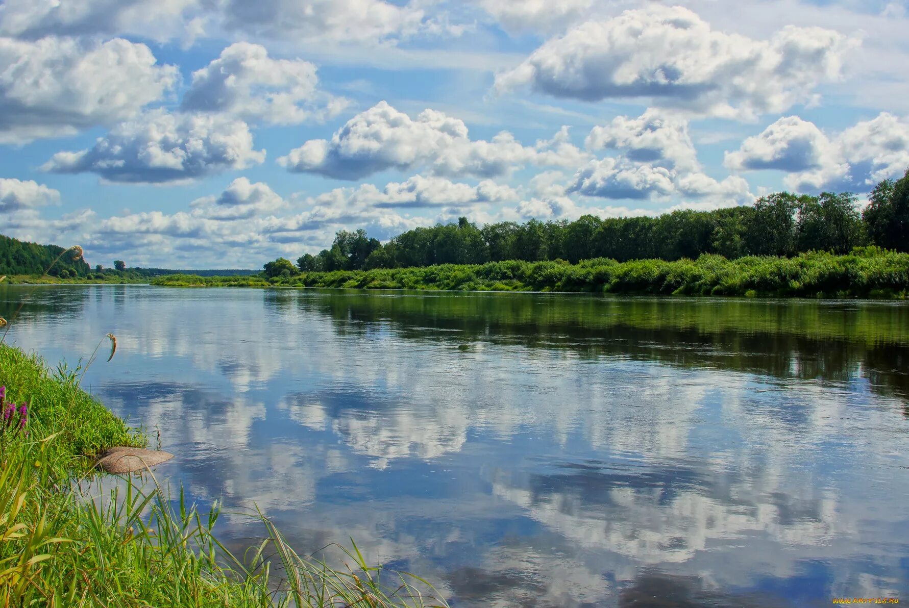 Природа реки волга. Унжа (приток Волги). Волга река. Река Клязьма. Река Волга Приволжье.