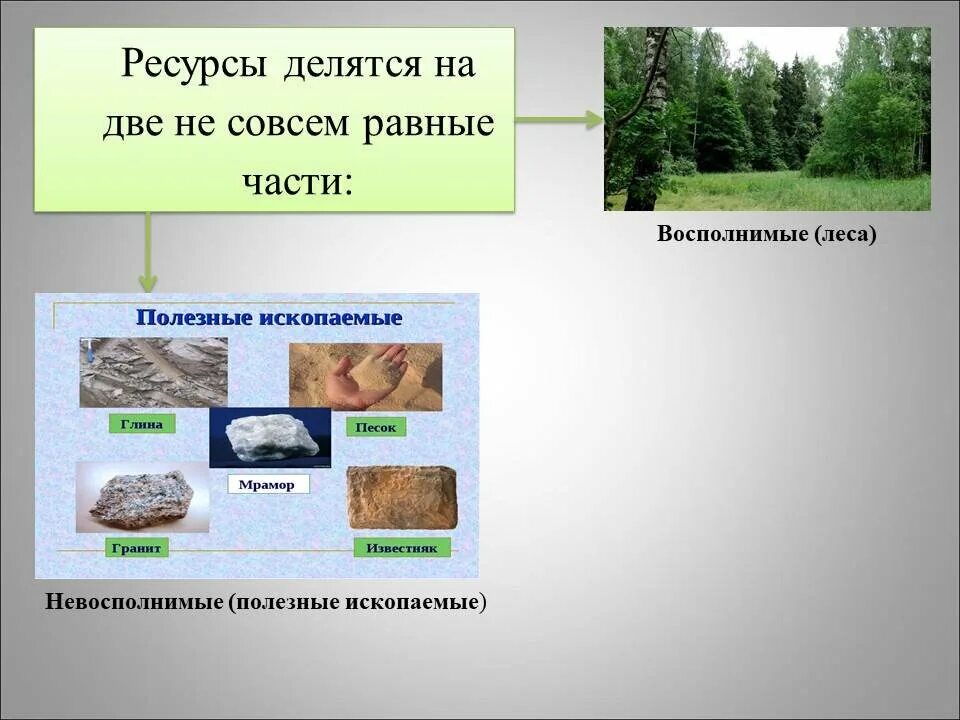 Картинки ДЕЛЕНИЕ НА РАВНЫЕ ГРУППЫ